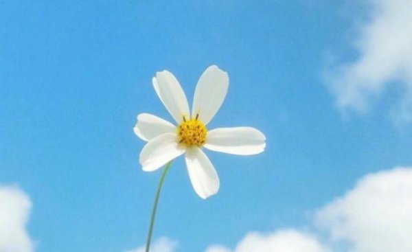 心疼到窒息的伤感语录