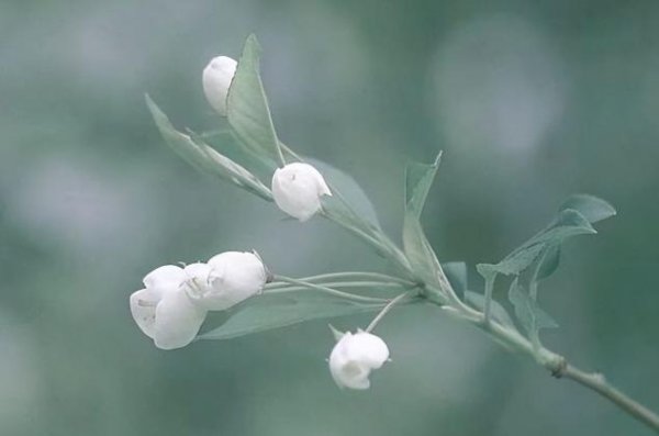 老年人的四大需求