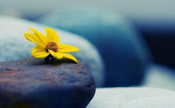 老年人的四大需求