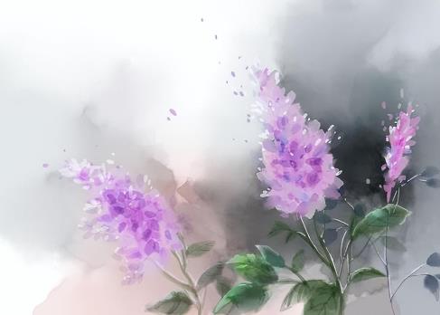 为什么不能跟岳母走太近