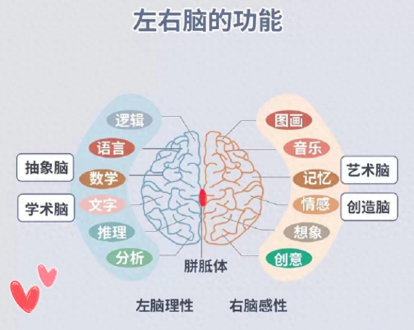 右脑型的人是什么样的人