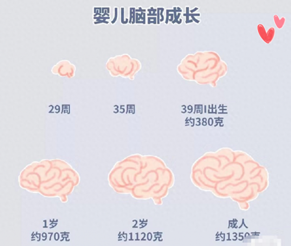 右脑型的人是什么样的人