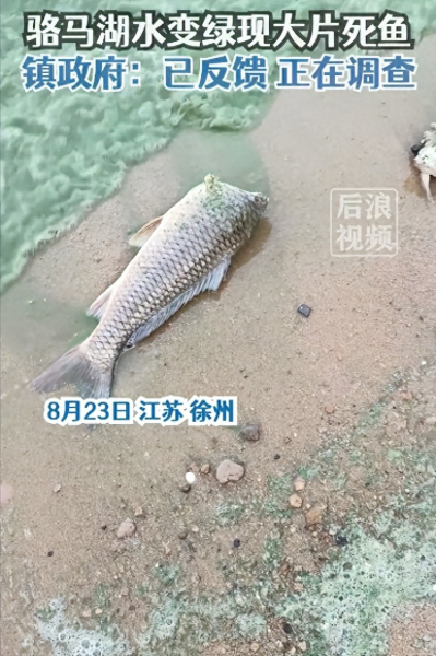骆马湖属于哪个城市的