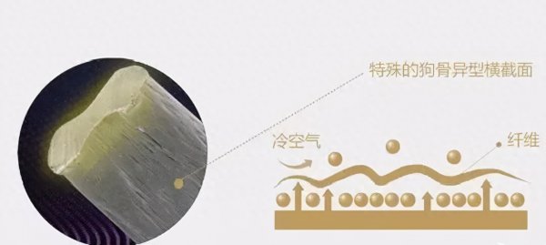 德绒是什么面料成分