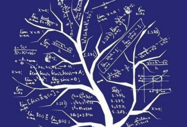 数学与应用数学冷门吗
