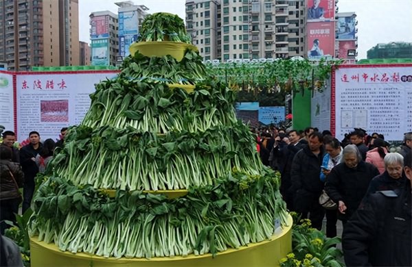 最贵的菜品排名榜