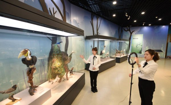 历史学专业就业前景和就业方向