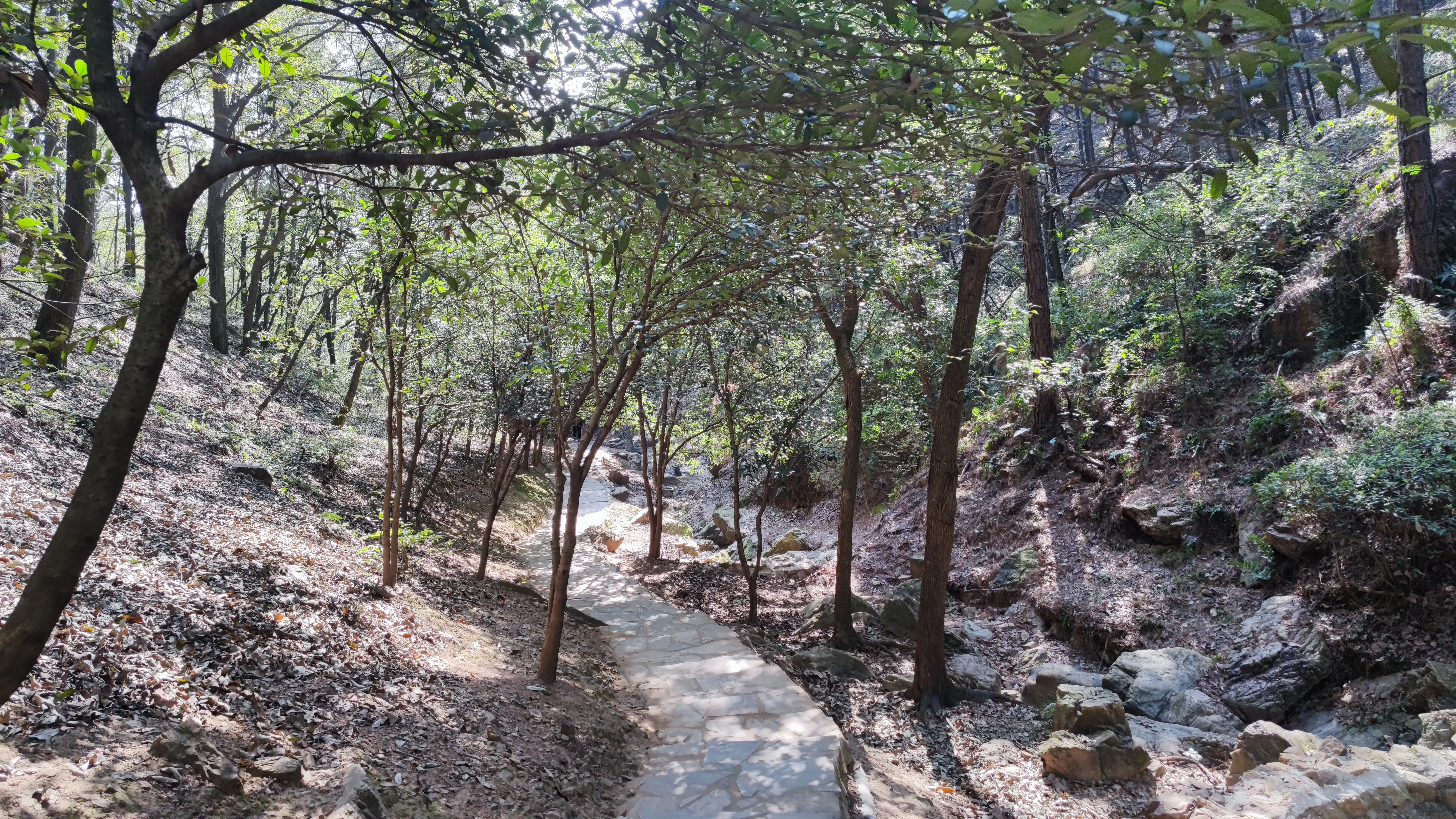 九真山风景区在哪里