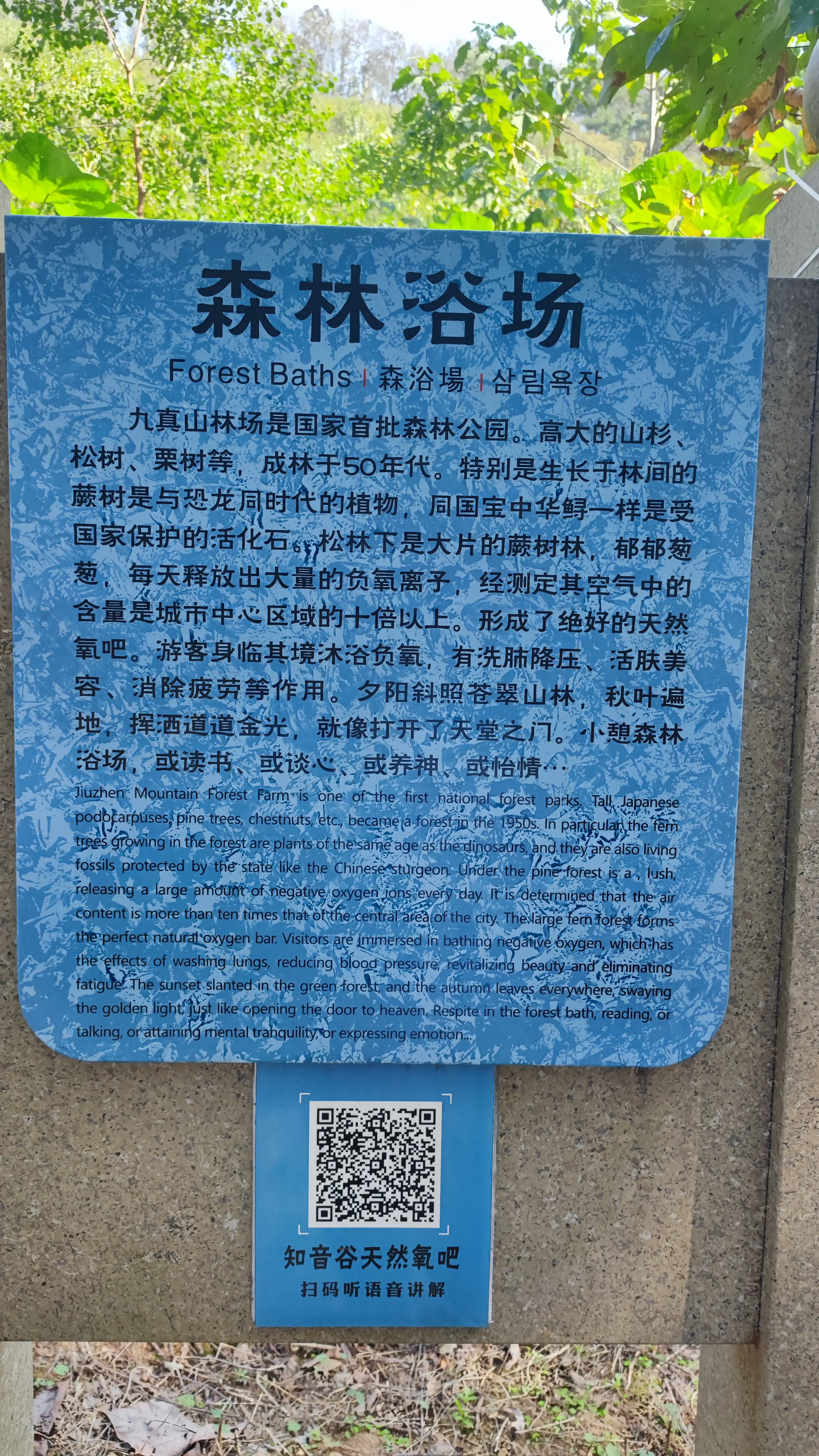 九真山风景区在哪里