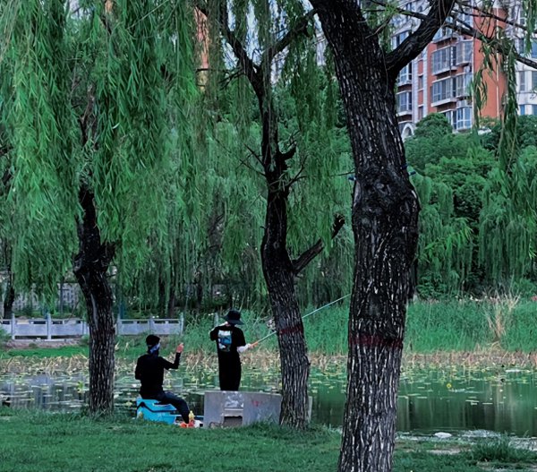 郑州十大网红打卡地
