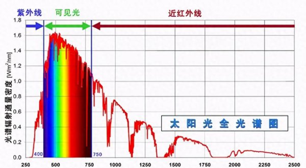 植物不喜欢什么光线