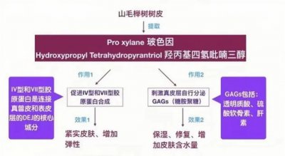 玻色因对皮肤的作用与功效 玻色因有哪些作用与功效