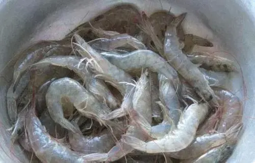虾怎么保存才新鲜