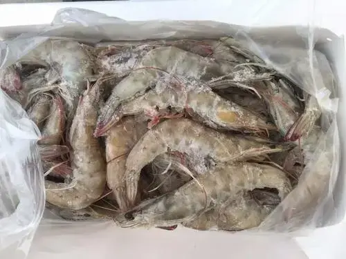 虾怎么保存才新鲜