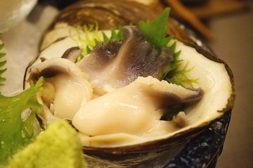 北极贝是什么生物