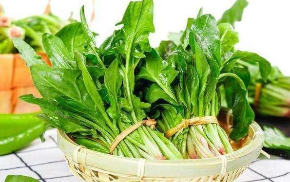 含有膳食纤维高的蔬菜有哪些适合减肥吃