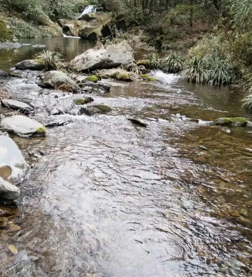 澧水市庸城县碗米溪村在哪里