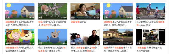 公袋鼠有袋子吗