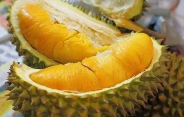 水果之王是什么