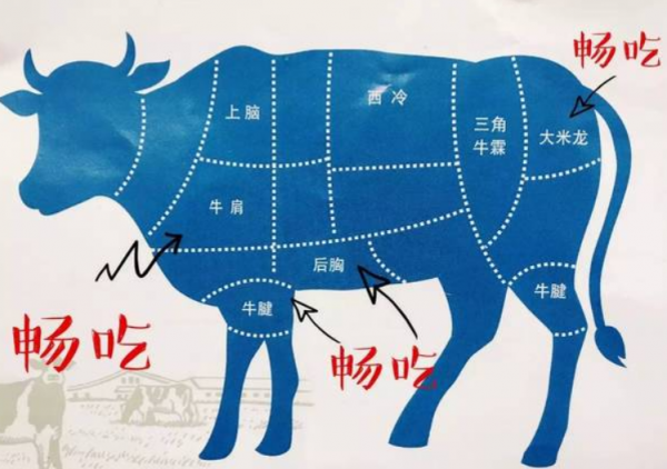 牛胸口是哪个部位图解？叫什么名字？