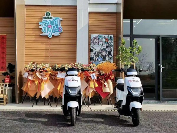 爱玛电动车型号大全2023