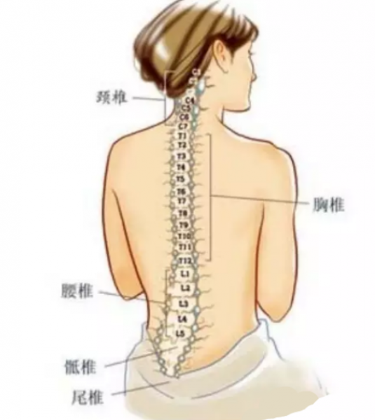 开龙脊是什么意思