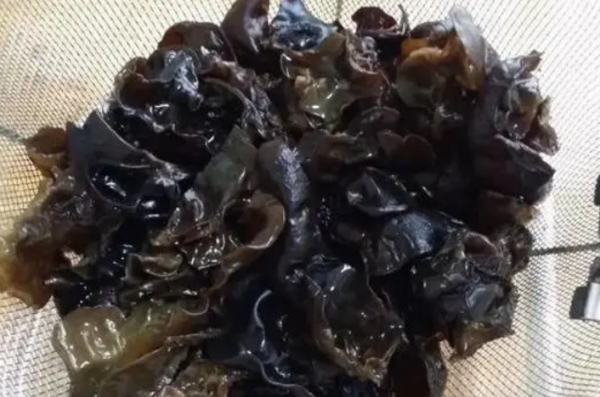 新鲜木耳炒多久几分钟能熟