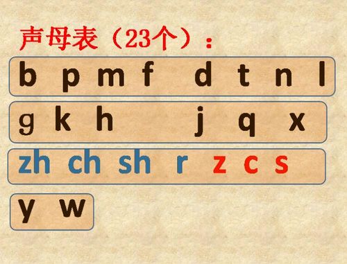 8个平舌音6个翘舌音整体认读音节分别是什么