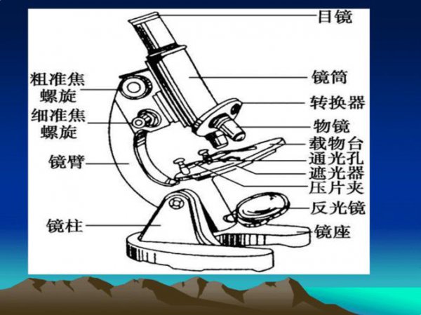 高中生物电子显微镜和光学显微镜区别