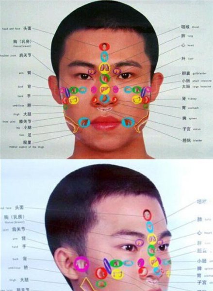 护肤须知：男士脸部不同部位长痘的原因分布图