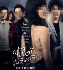 吹落的树叶大结局是什么？吹落的树叶小说版的结局是什么？