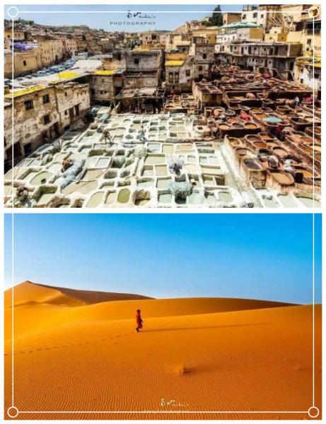 外国好玩不贵的免签旅游地
