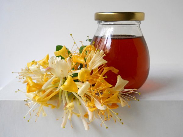 蜂蜜可以减肥吗