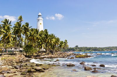 斯里兰卡旅游攻略 带你领略“印度洋上的眼泪”