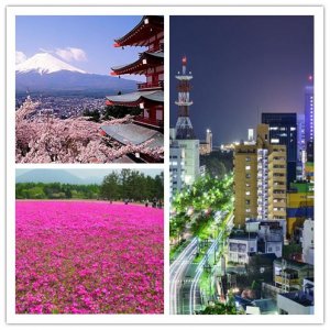 最新日本旅游攻略 日本5大景点一定要去
