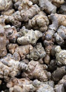 田七的功效与药用作用及食用方法 探讨田七的保健功能、药用价值与食用技巧