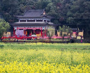 三月去哪里旅游最好 重磅热荐五大唯美出游地点