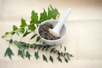 女人你需要注意益母草的副作用 女性需知：益母草的潜在副作用需要注意