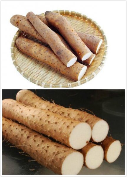 山药怎么炒才好吃的秘诀