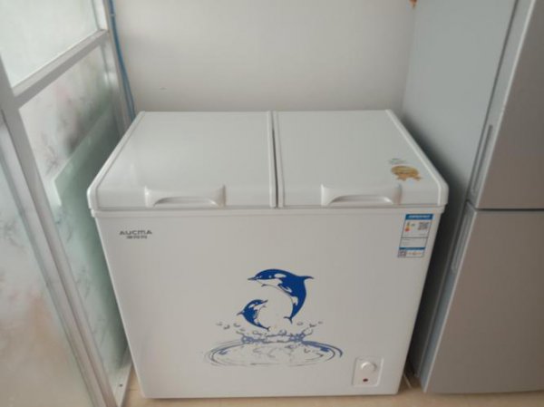 家用冰柜多少升合适