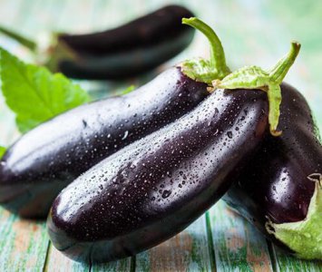 茄子烧豆角的4个家常做法 家常四法茄子烧豆角美味多