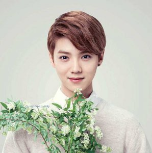 EXO可爱韩星鹿晗短发发型图片 鹿晗可爱短发造型曝光