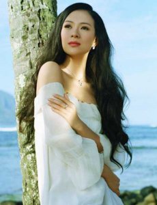 章子怡知性长发上演十足女人味 章子怡智慧长发展现完美女性魅力