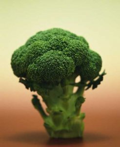 西兰花的营养价值防癌又抗衰老 西兰花防癌又抗衰老营养丰富