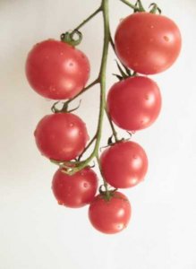 列举西红柿的五大营养价值 西红柿的五大营养价值一览