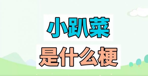 小趴菜什么意思网络用语