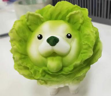 小趴菜什么意思网络用语