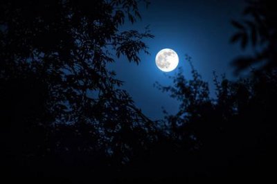 明月夜歌曲表达什么意思 明月夜表达的是一种怎样的情感