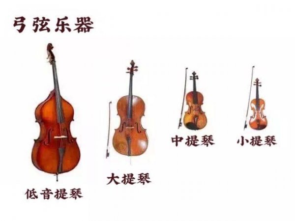 西洋管弦乐器的四大分类及代表乐器是什么