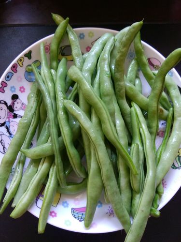 四季豆什么季节吃最好吃